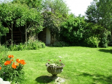 Part of garden