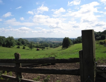 View from Well Lane